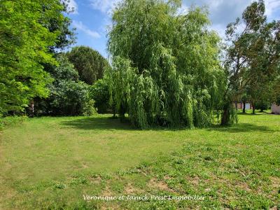 photo For sale Land SAINTE-FOY-D'AIGREFEUILLE 31