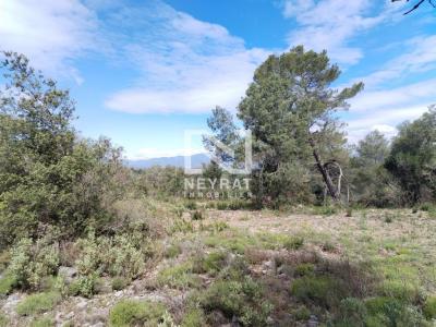 photo For sale Land MONTAUROUX 83