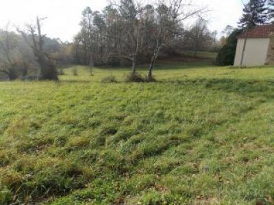 photo For sale Land BREDE 33