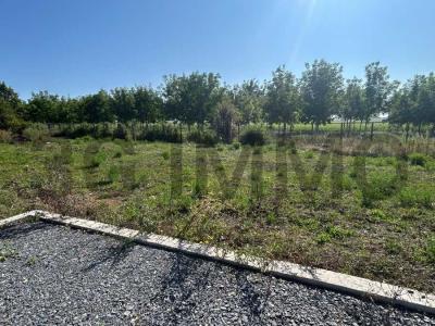 photo For sale Land CELLULE 63