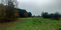 For sale Land Saint-aignan-le-jaillard  45600 5507 m2