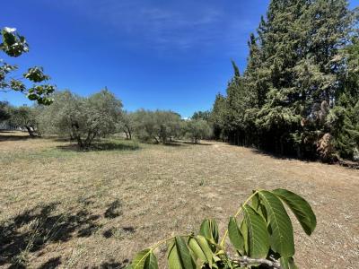 photo For sale Land ALLEINS 13