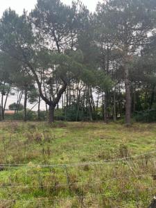 For sale Land SAINT-AUBIN-DE-MEDOC  33