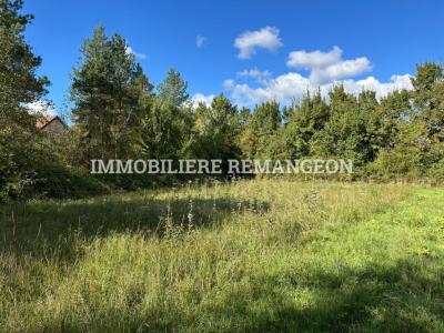 photo For sale Land ORCAY 41