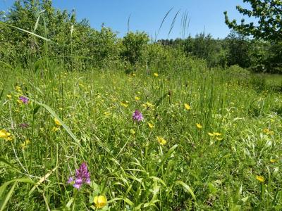 photo For sale Land PUYLAROQUE 82