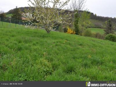 Vente Terrain SAINT-DIDIER-AU-MONT-D'OR 69370