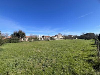 Vente Terrain PLAISANCE-DU-TOUCH 31830