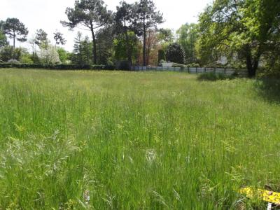 photo For sale Land TEICH 33