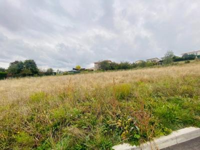 photo For sale Land YSSINGEAUX 43