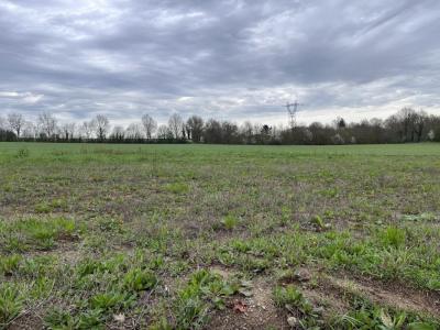 photo For sale Land SAINT-SULPICE-DES-LANDES 44