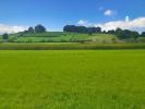 For sale Land Labastide-villefranche  64270 11000 m2