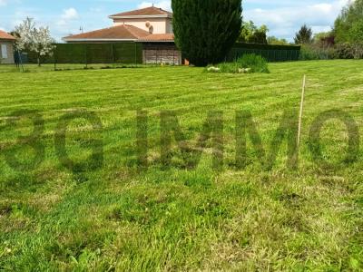 Vente Terrain CHATILLON-LA-PALUD 01320