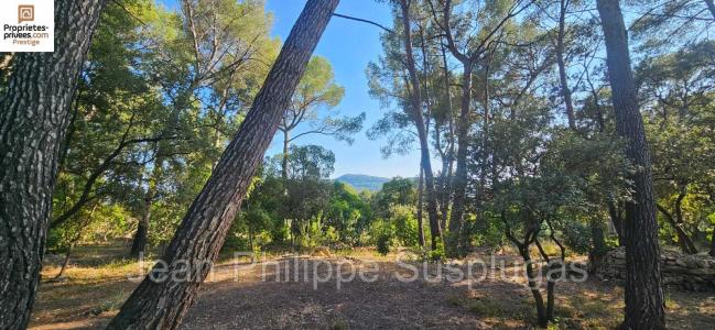 photo For sale House BEAUSSET 83