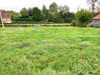 photo For sale Land FRESSIN 62