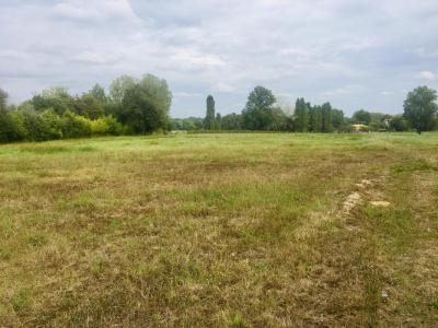 photo For sale Land CARTELEGUE 33