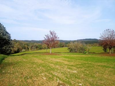 For sale Land CARLUS  81