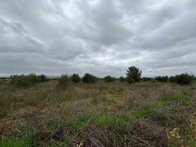 Vente Terrain CLERMONT-L'HERAULT 34800