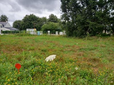 photo For sale Land NOTRE-DAME-DES-LANDES 44