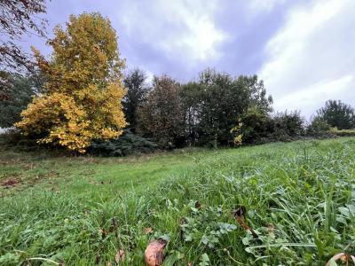 photo For sale Land FEYTIAT 87