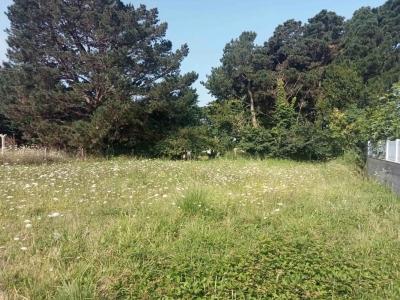 Vente Terrain PLAINE-SUR-MER  44