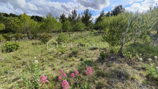 For sale Land SIGEAN  11