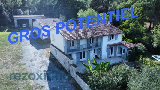 photo For sale Prestigious house SAINT-GEORGES-DE-DIDONNE 17