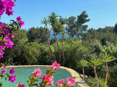 photo For sale House BANDOL 83