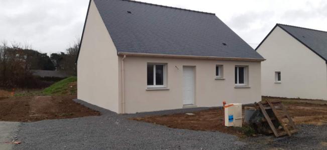 For sale House VAY  44