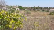 Vente Terrain Pezenas  34120 10440 m2