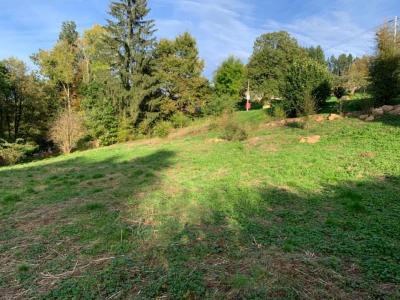 For sale Land COURS-LA-VILLE  69