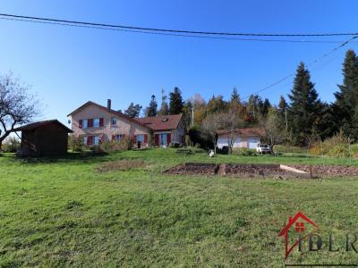 Vente Maison 8 pices CHAMPDRAY 88640