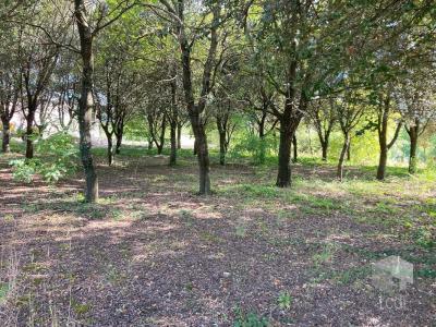 For sale Land MONTBOUCHER-SUR-JABRON  26