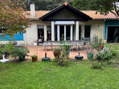 photo For sale House LACANAU 33