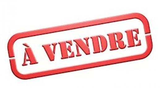 Vente Local commercial CHALONNES-SUR-LOIRE 49290