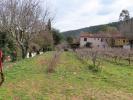 For sale House Collobrieres  83610 270 m2 15 rooms