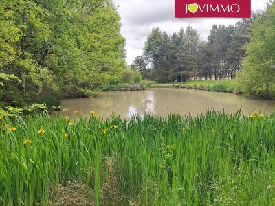 Vente Terrain MIGNALOUX-BEAUVOIR  86