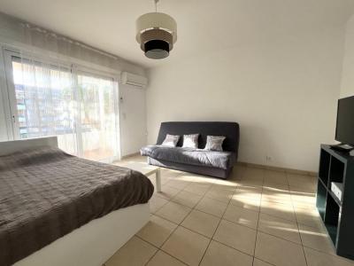 Location Appartement SAN-NICOLAO 