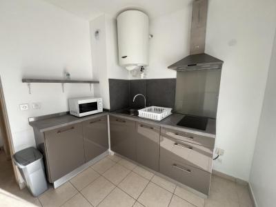 Location Appartement SAN-NICOLAO 