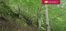 Acheter Terrain Arrens-marsous 3400 euros