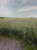 For sale Land Saint-etienne-sur-suippe  51110 496 m2