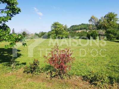 For sale Land VIELMUR-SUR-AGOUT  81