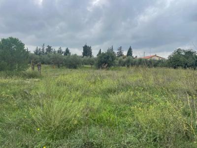 Vente Terrain BEAUCAIRE 30300