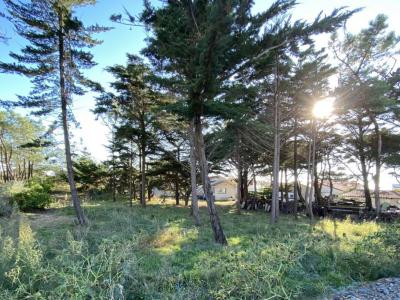 For sale Land BRETIGNOLLES-SUR-MER  85