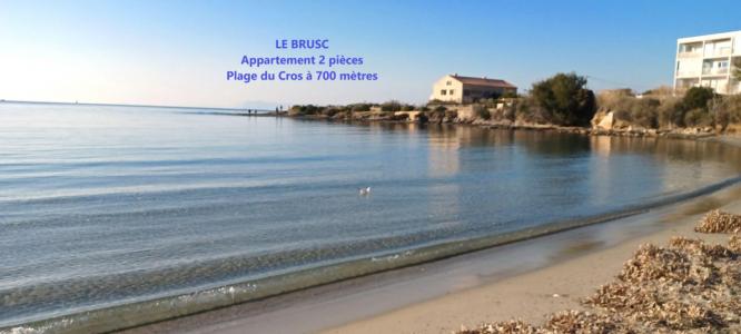 photo For sale Apartment BRUSC 83