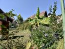 Annonce Vente 10 pices Maison Andlau