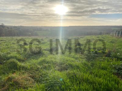 For sale Land BEAUFOUR-DRUVAL  14