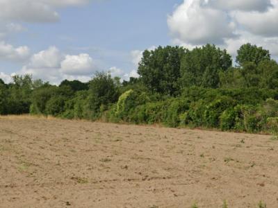 photo For sale Land MACHECOUL 44