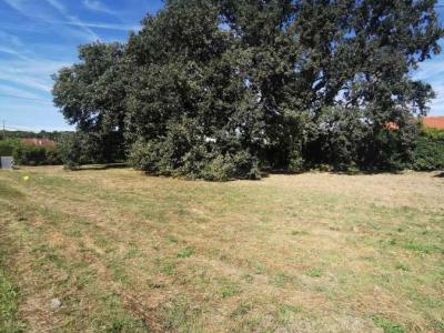 For sale Land AUSSONNE  31