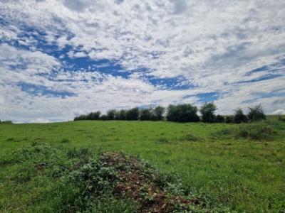 Vente Maison HERICOURT 