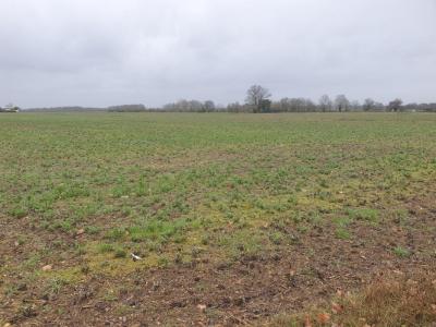 photo For sale Land MADIRAC 33